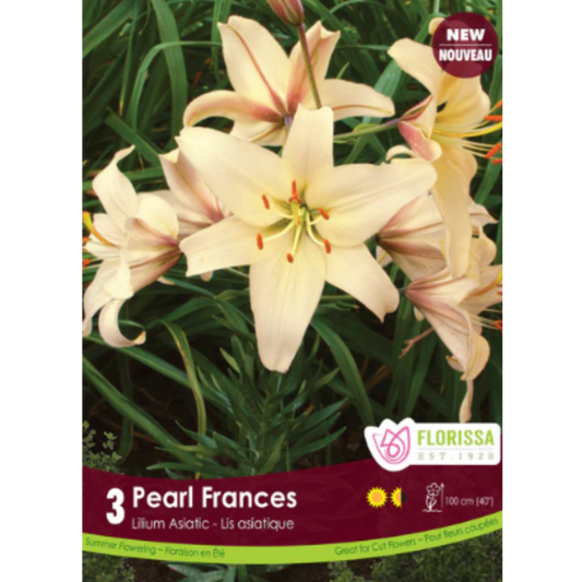 Bulbs Lily Asiatic Pearl Frances 3/Pkg.