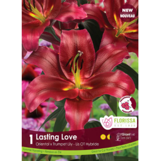 Bulbs Lily Hybrid Lasting Love 1/Pkg.