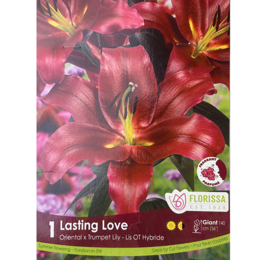 Bulbs Lily Lasting Love Hybrid 1/Pkg.