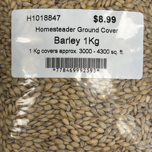 Cover Crop Barley Homesteader