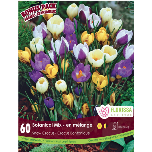 Crocus 'Botanical Mix' Snow 60/Pkg.