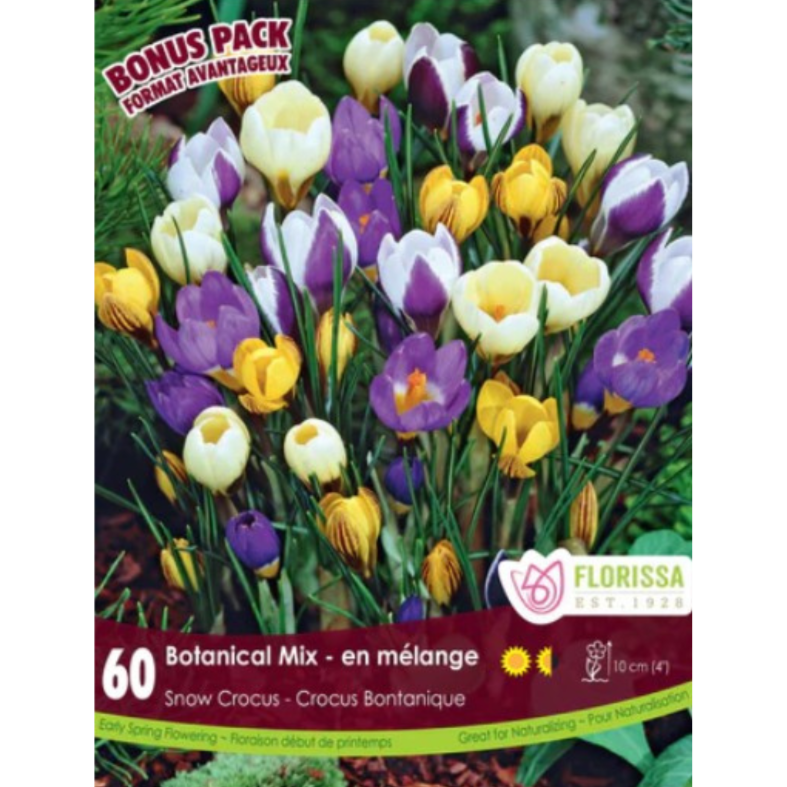 Crocus 'Botanical Mix' Snow 60/Pkg.