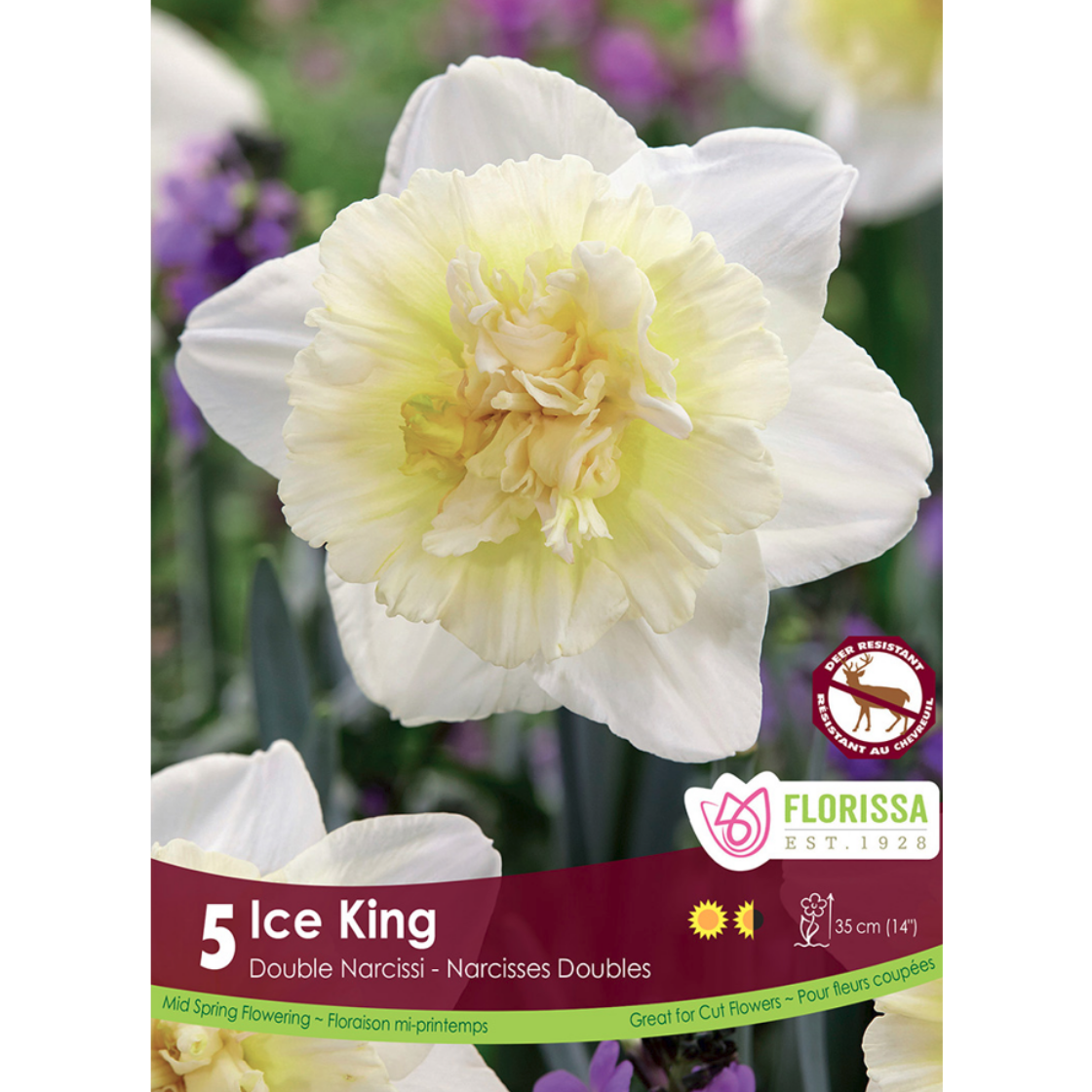 Narcissus 'Ice King' 5/Pkg.