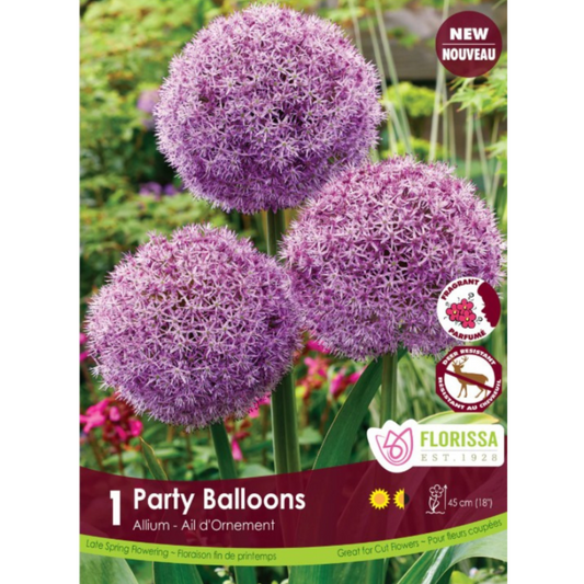 Allium 'Party Balloons' 1 Pkg.
