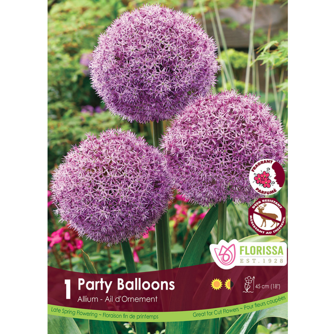 Allium 'Party Balloons' 1 Pkg.
