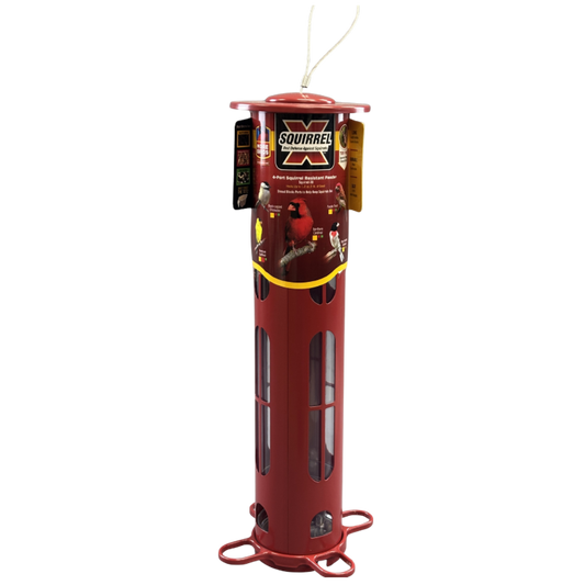 Bird Feeder Squirrel Resistant X8