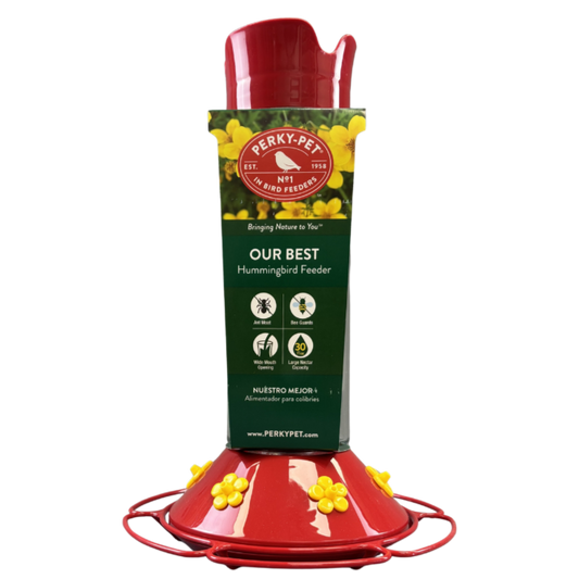 Hummingbird Feeder Glass Perky-Pet