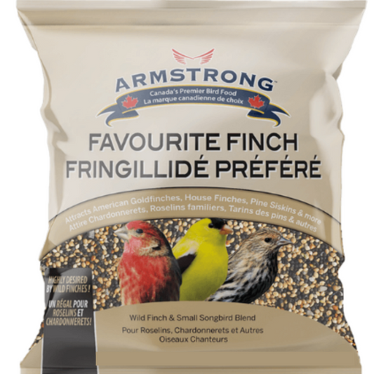 Bird Food Favourite Finch