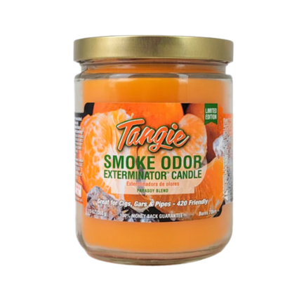 Candle Exterminator Smoke Odor