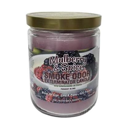 Candle Exterminator Smoke Odor