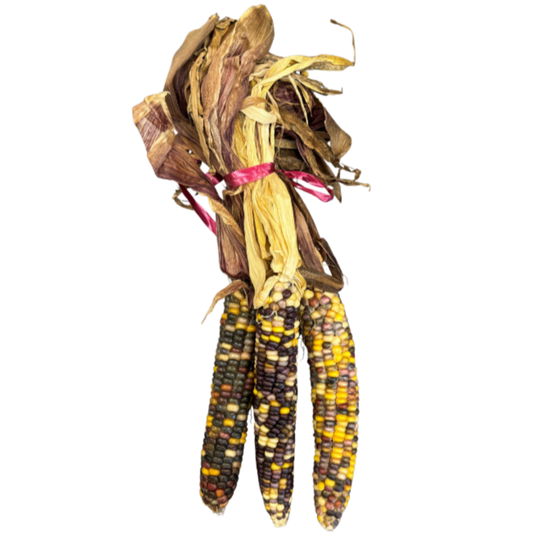 Ornamental Corn Bundle/3