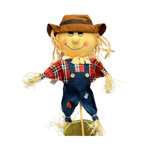 Mini Toddler Scarecrow on Pick (Assorted)