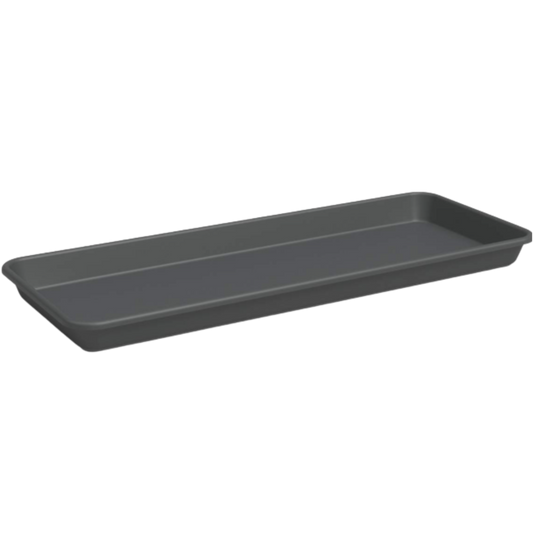 Window Box Saucer Madagascar