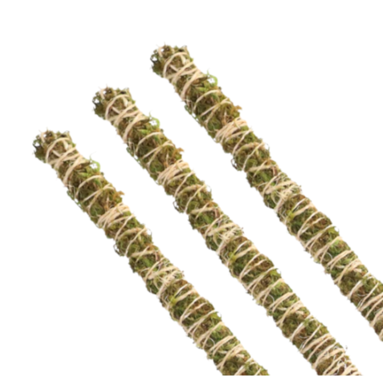 Mossify Bendable Moss Pole Thin 3 Packs