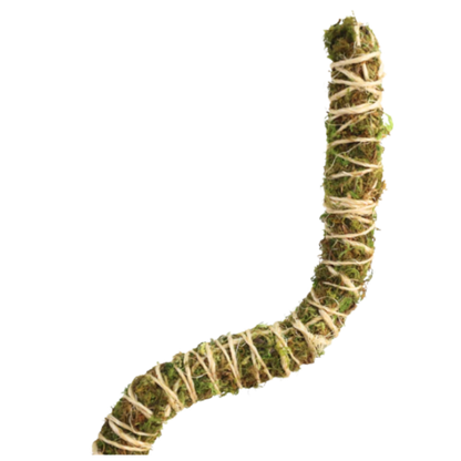 Mossify Bendable Moss Pole Thin 3 Packs