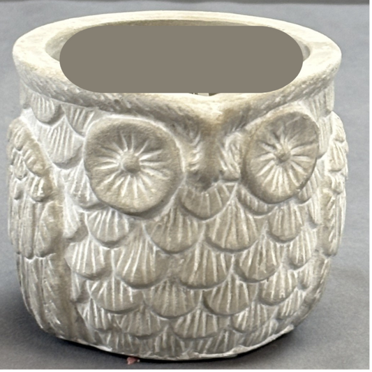 Otis the Owl Decorative Pot