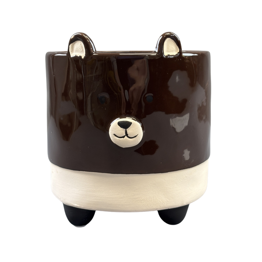 Pot Footed Black Bear