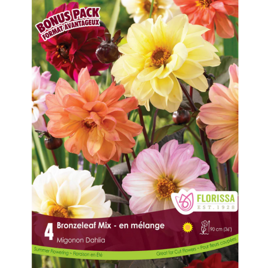Bulbs Dahlia Bronzeleaf Mix 4/Pkg.
