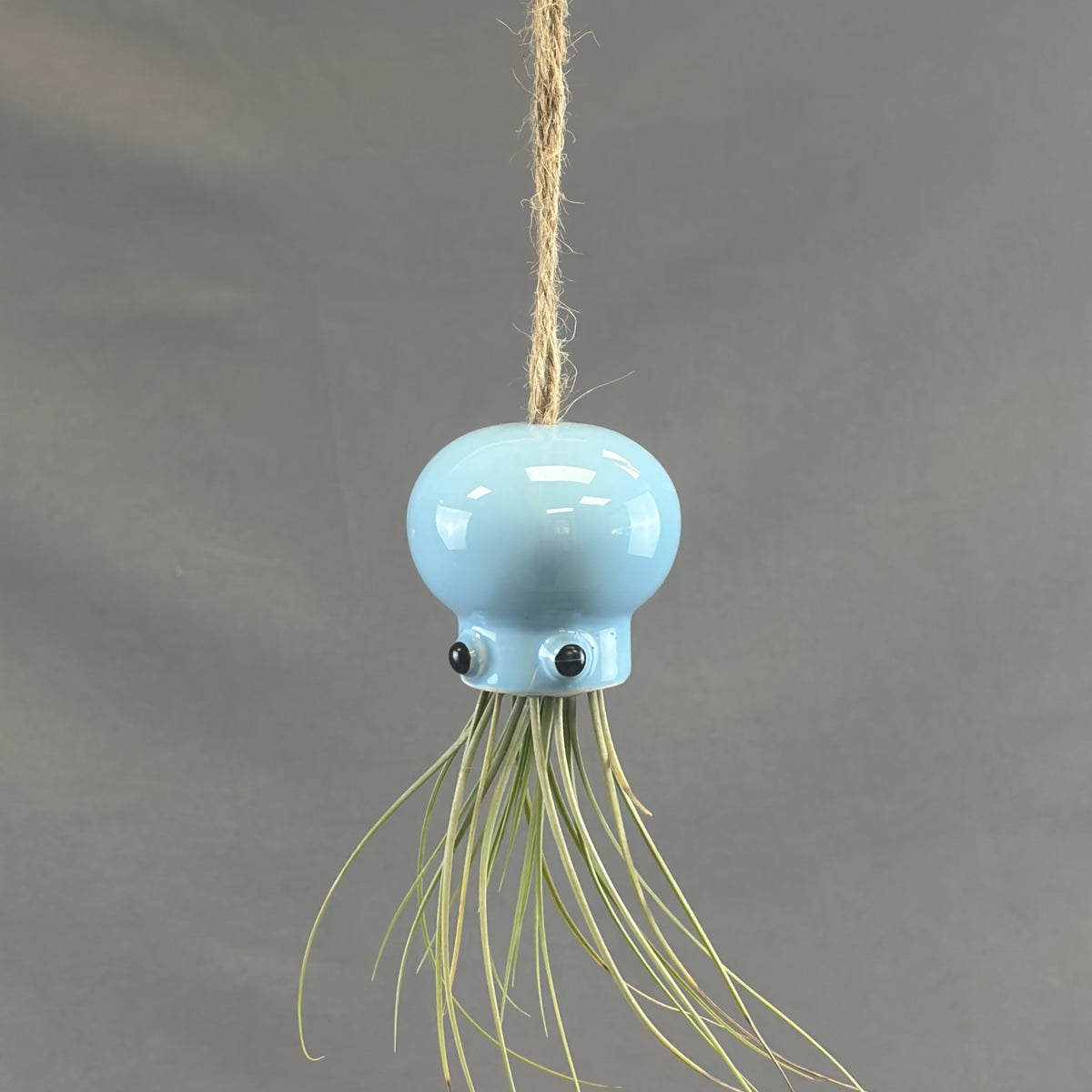 Pots for Tillandsia Air Plants 'Hanging Ocean Friends' Assorted