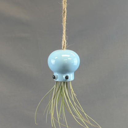 Pots for Tillandsia Air Plants 'Hanging Ocean Friends' Assorted