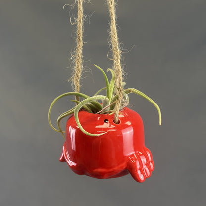 Pots for Tillandsia Air Plants 'Hanging Ocean Friends' Assorted