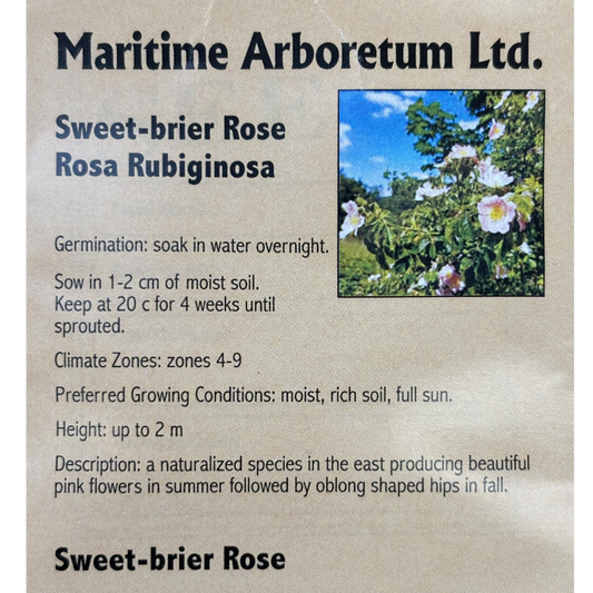 Maritime Arboretum Seed Sweet-Brier Rose