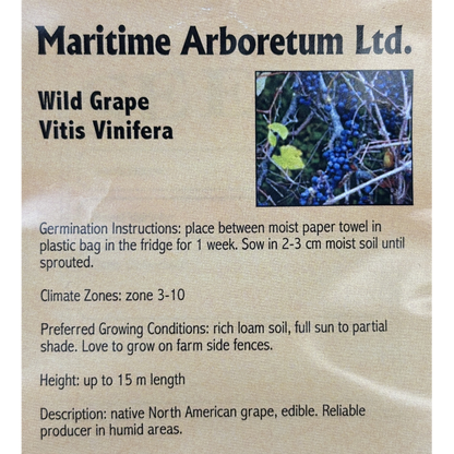 Maritime Arboretum Seed Wild Grape