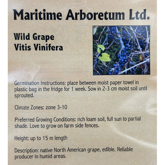 Maritime Arboretum Seed Wild Grape