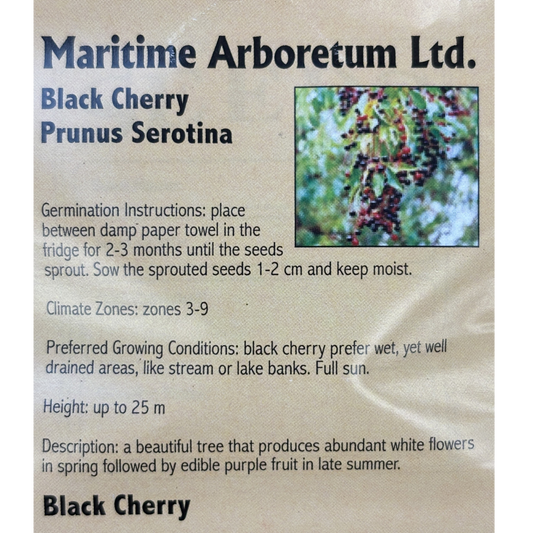 Maritime Arboretum Seed Black Cherry
