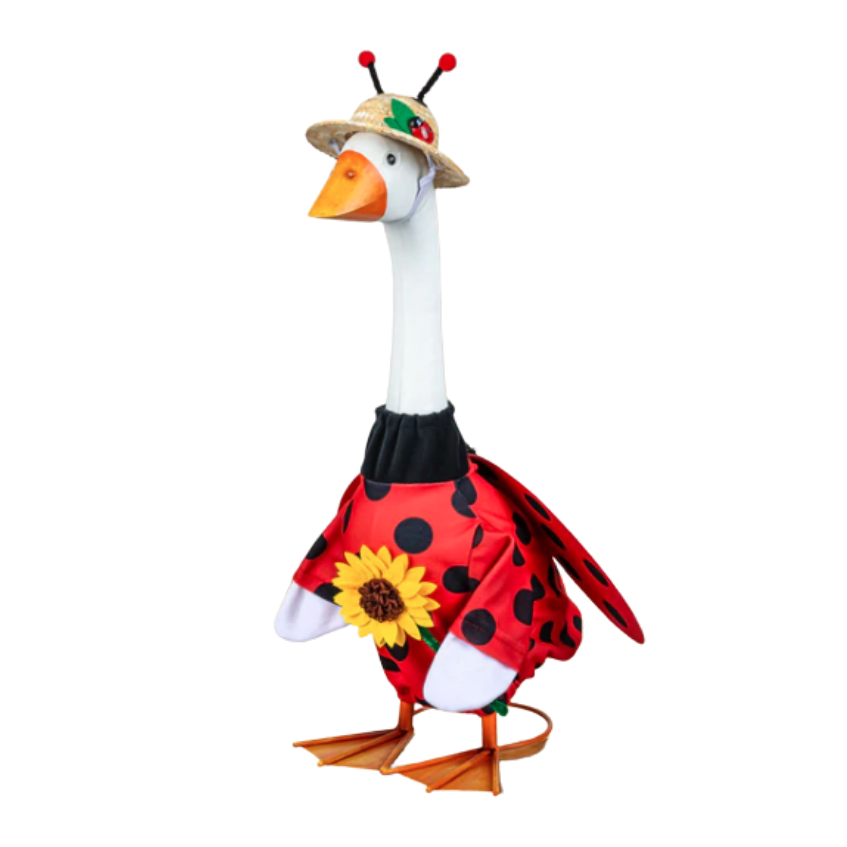 Giddy Outfit 'Ladybug'