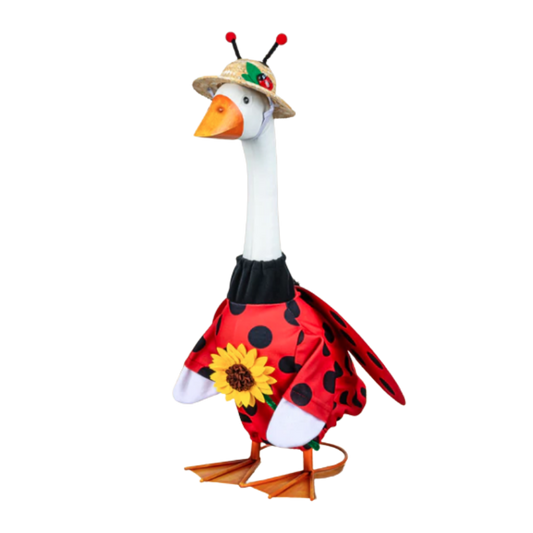 Giddy Outfit 'Ladybug'