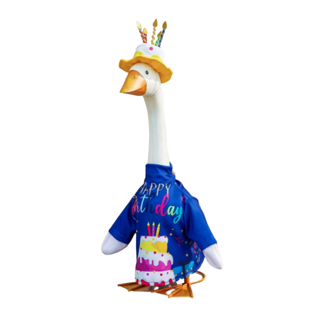 Giddy Outfit "Birthday Celebration"