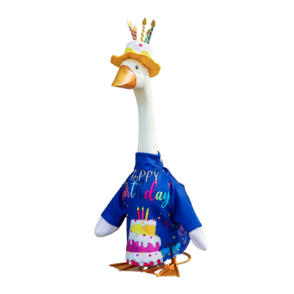 Giddy Outfit "Birthday Celebration"