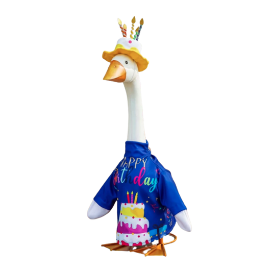 Giddy Outfit 'Birthday Celebration'