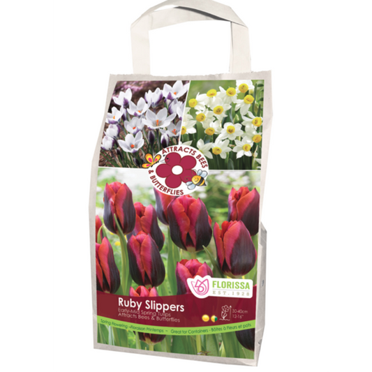 Pollinator Tulip 'Ruby Slippers' Mix 28/Bag