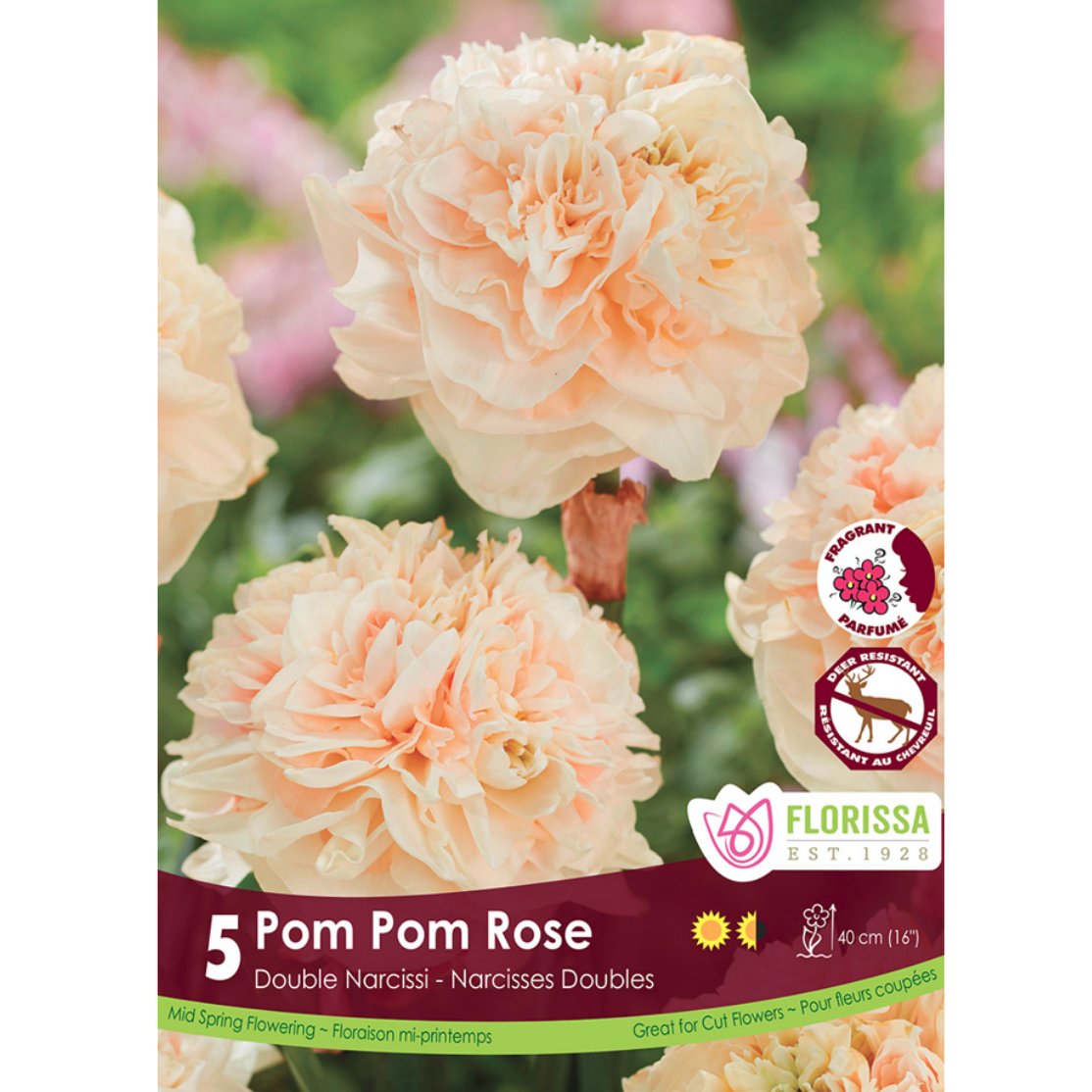 Narcissus 'Pom Pom Rose' 5/Pkg.