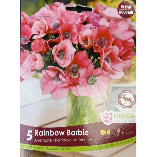 Anemone Rainbow Barbie 5/Pkg.