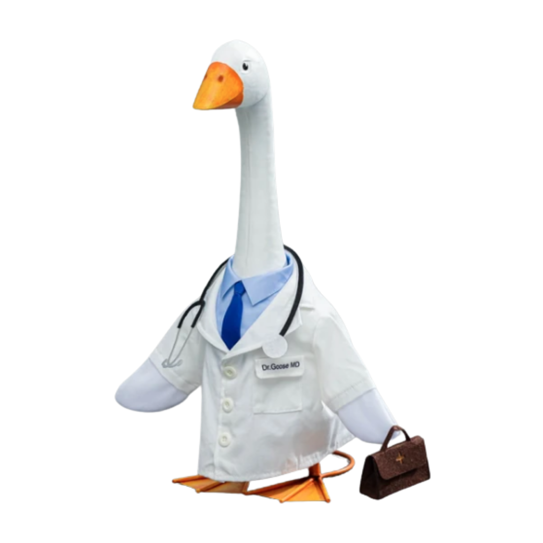 Giddy Outfit 'Doctor'