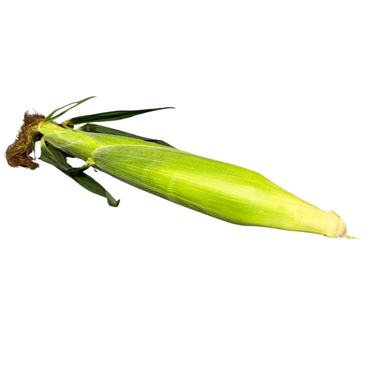 Fresh Corn on the Cob