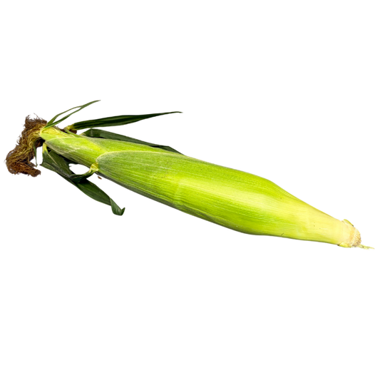 Fresh Corn on the Cob
