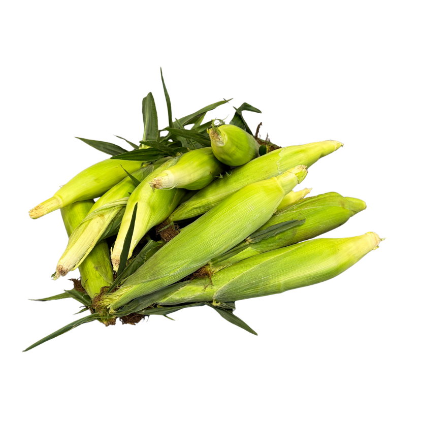 Fresh Corn on the Cob