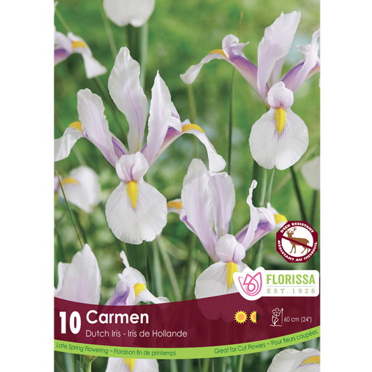 Iris Carmen 10/Pkg.