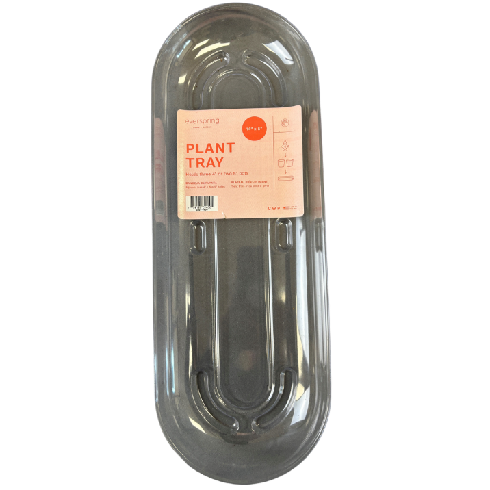 Window Sill Tray - Clear – Scott's Nursery Ltd.