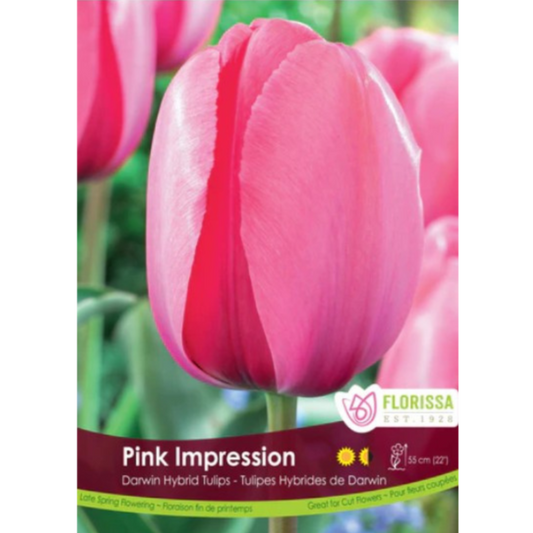 Tulip Bulk 'Pink Impression' Darwin Hybrid (Price per Bulb)