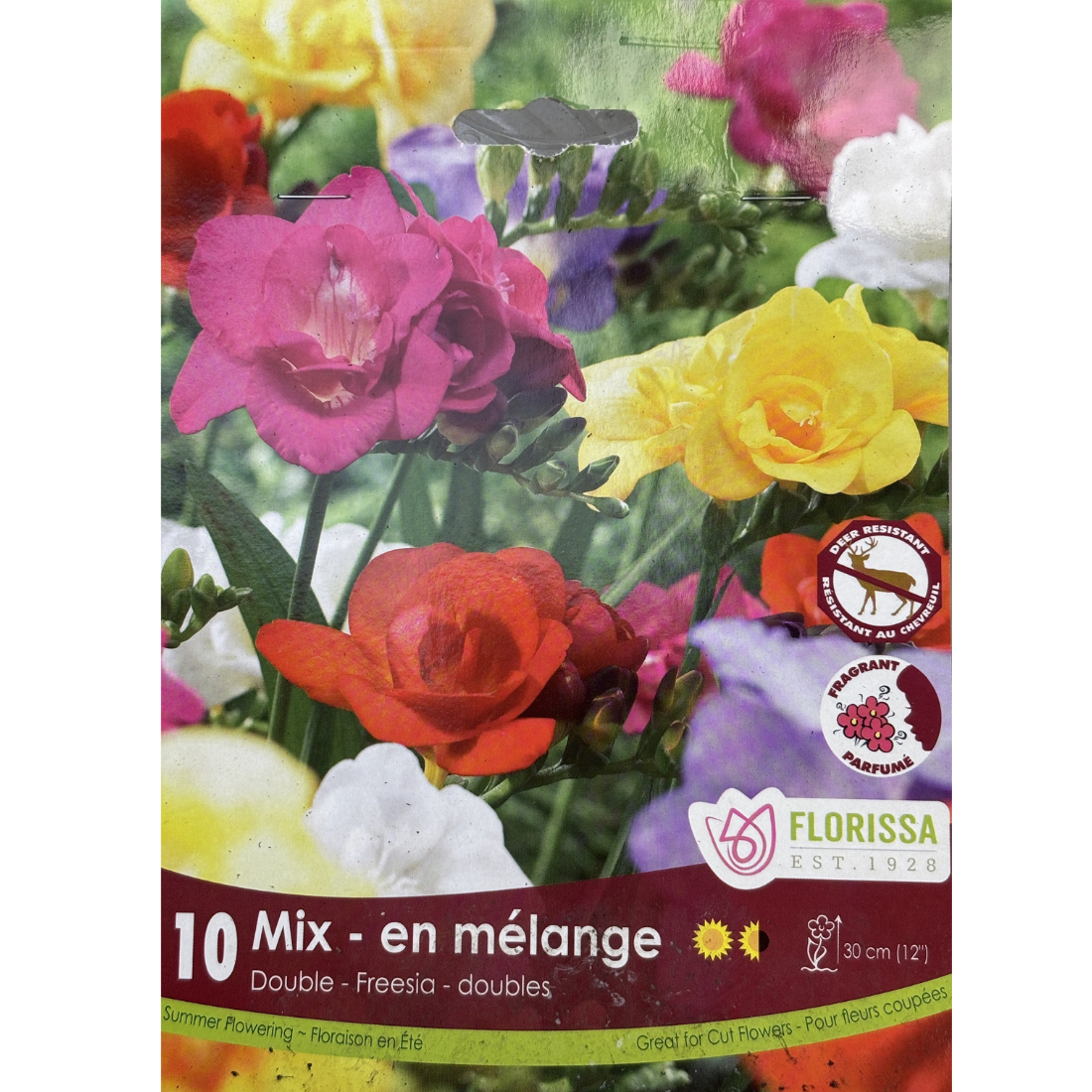 Bulbs Freesia Mix Double 10/Pkg.