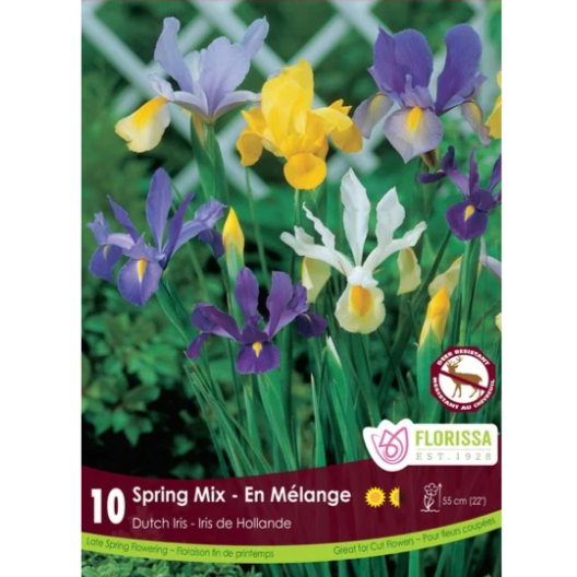 Iris 'Spring Mix' Dutch 10/Pkg.