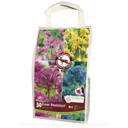 Allium 'Deer Resistant' Mix 50/Pkg.