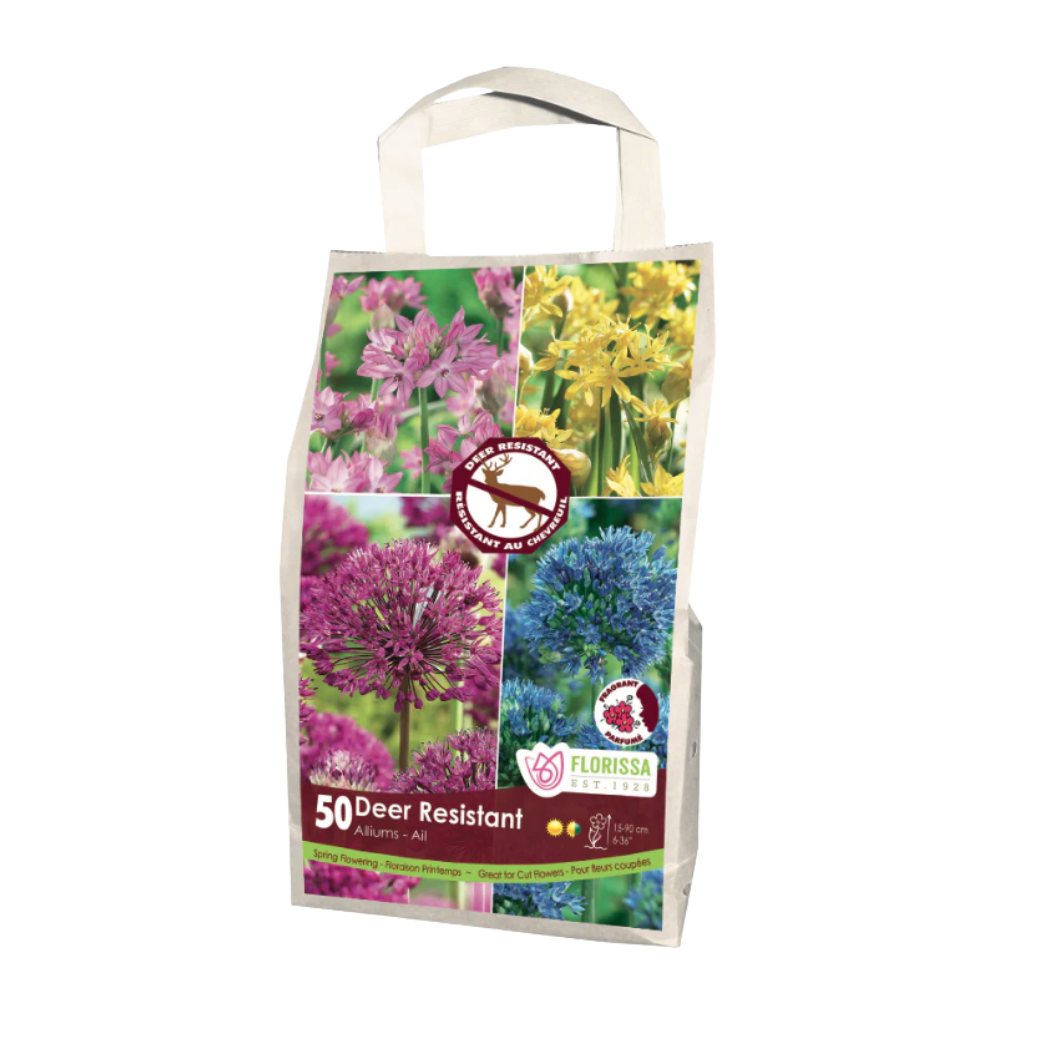 Allium 'Deer Resistant' Mix 50/Pkg.