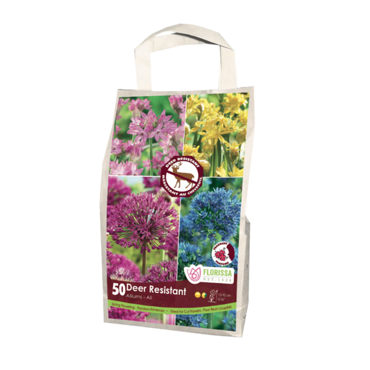 Allium 'Deer Resistant' Mix 50/Pkg.