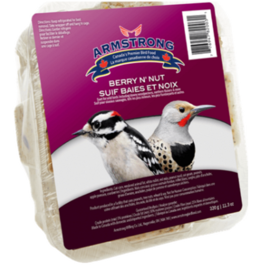 Suet Berry N' Nut